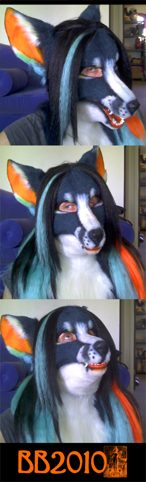 Finished Colorful Canine Head