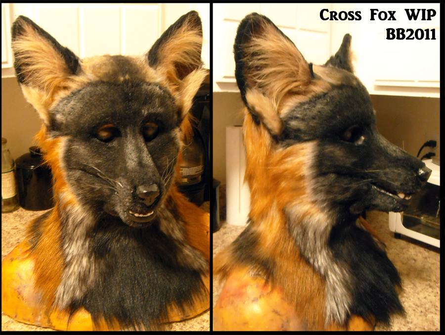 Cross Fox WIP