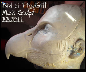 Bird of Prey Sculpt