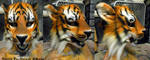 Tiger Face Mask by Magpieb0nes