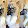 White and grey Griffin Head+ Tail set