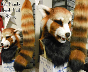 Red Panda