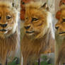 Symbayo Lion Head