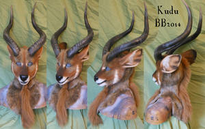 Kudu Head