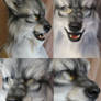 Werewolf closeups