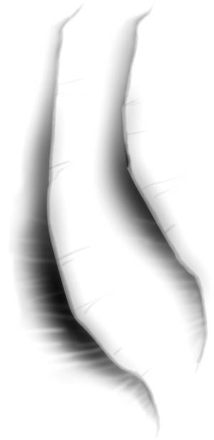 Gill Tattoo design- FREE USE!
