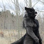 Werewolf: Graveyard shoot 009