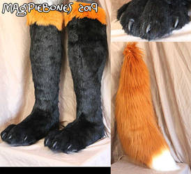 Red Fox Feet and Tail