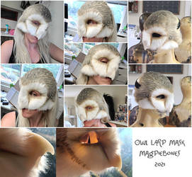 Barn Owl LARP Mask