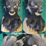 Silver Fox Jawless Head ***SALE PREVIEW***