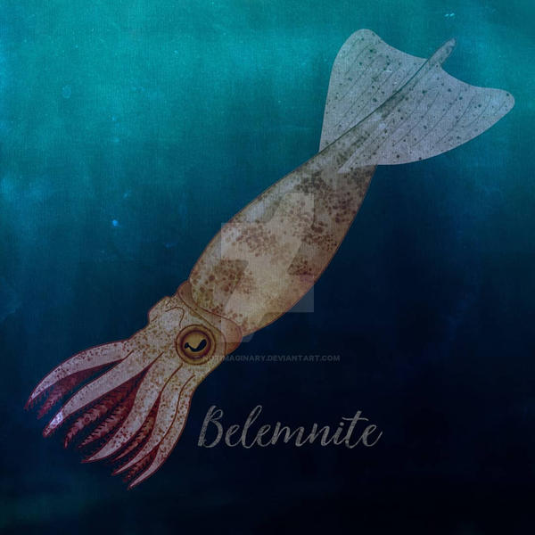 Belemnite by notimaginary on DeviantArt