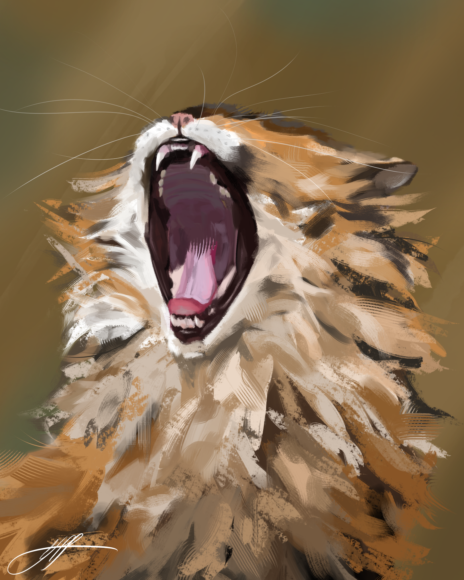 Orange Cat