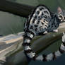 Pardine Genet