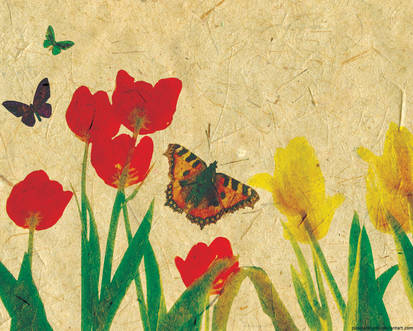 Wallpaper - Tulips