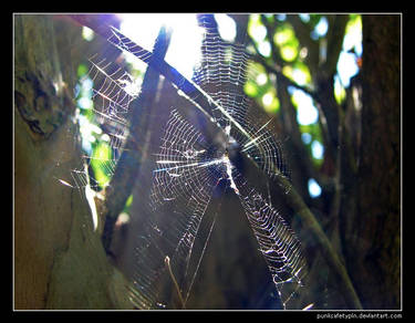 Sunny web 2