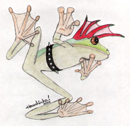 Punk frog