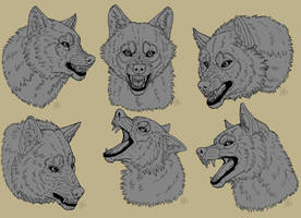 Wolves Line Art- Say Cheese