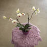 Small lavender tablecloth