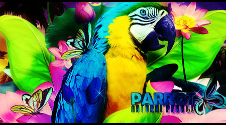 Parrot Natural Park