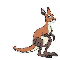 Ookapi