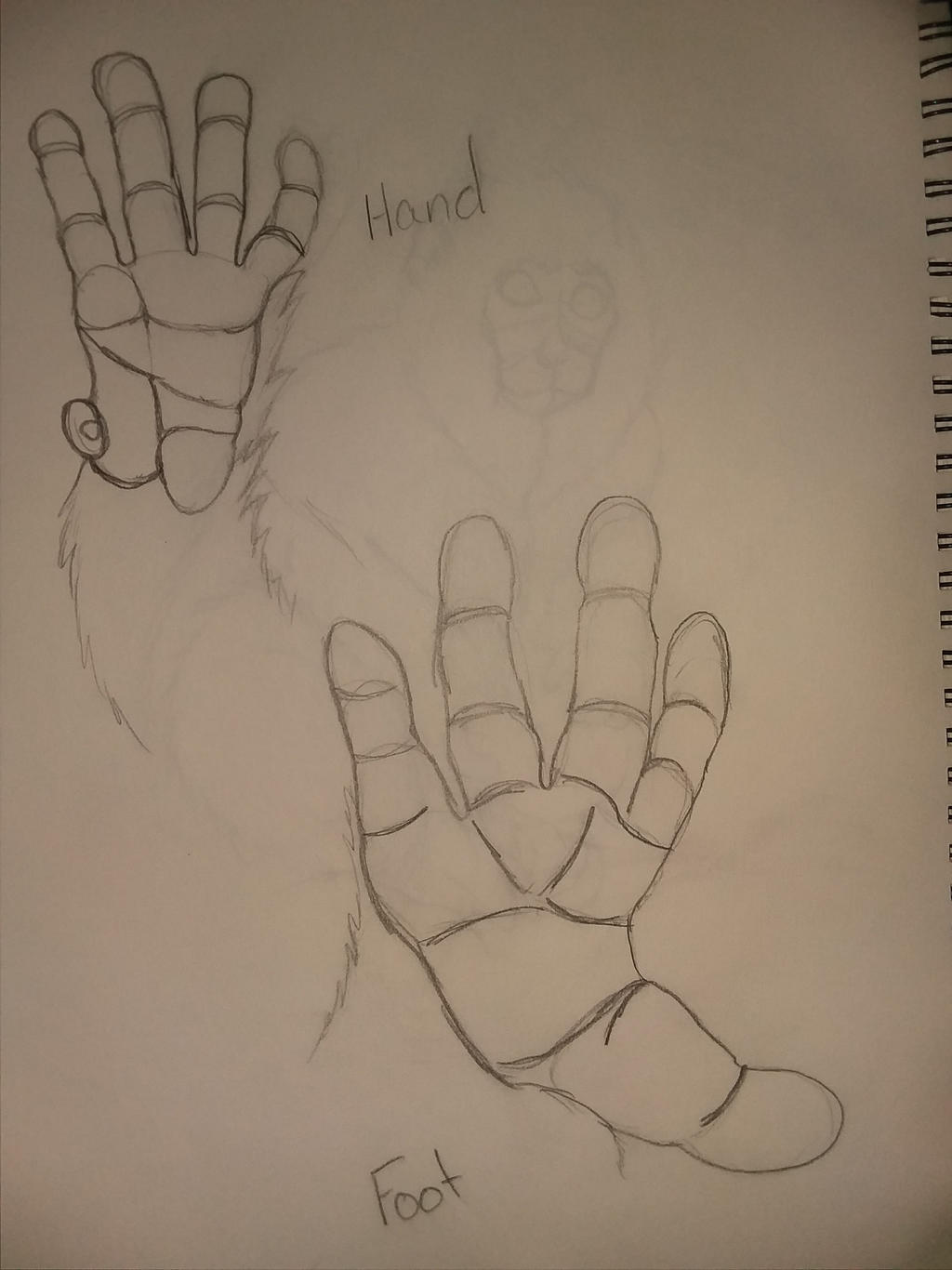 A little more practice