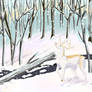 Winter Deer