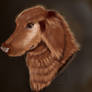 Clifford