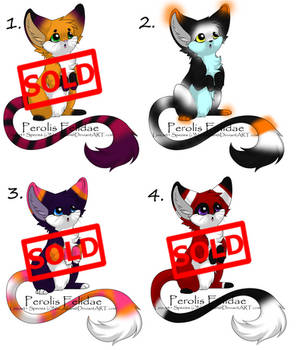 Perolis Felidae Point Adoptables -OPEN-