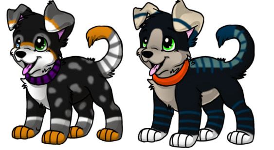 2 Puppy Adoptable Auction -STARTING AT 10 PTS EACH