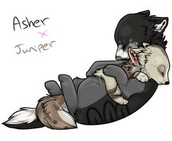 Asher x Juniper -1 PUP SLOT OPEN-