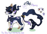 Pei - SoulFox Reference Sheet 2020 by imberrypeachy