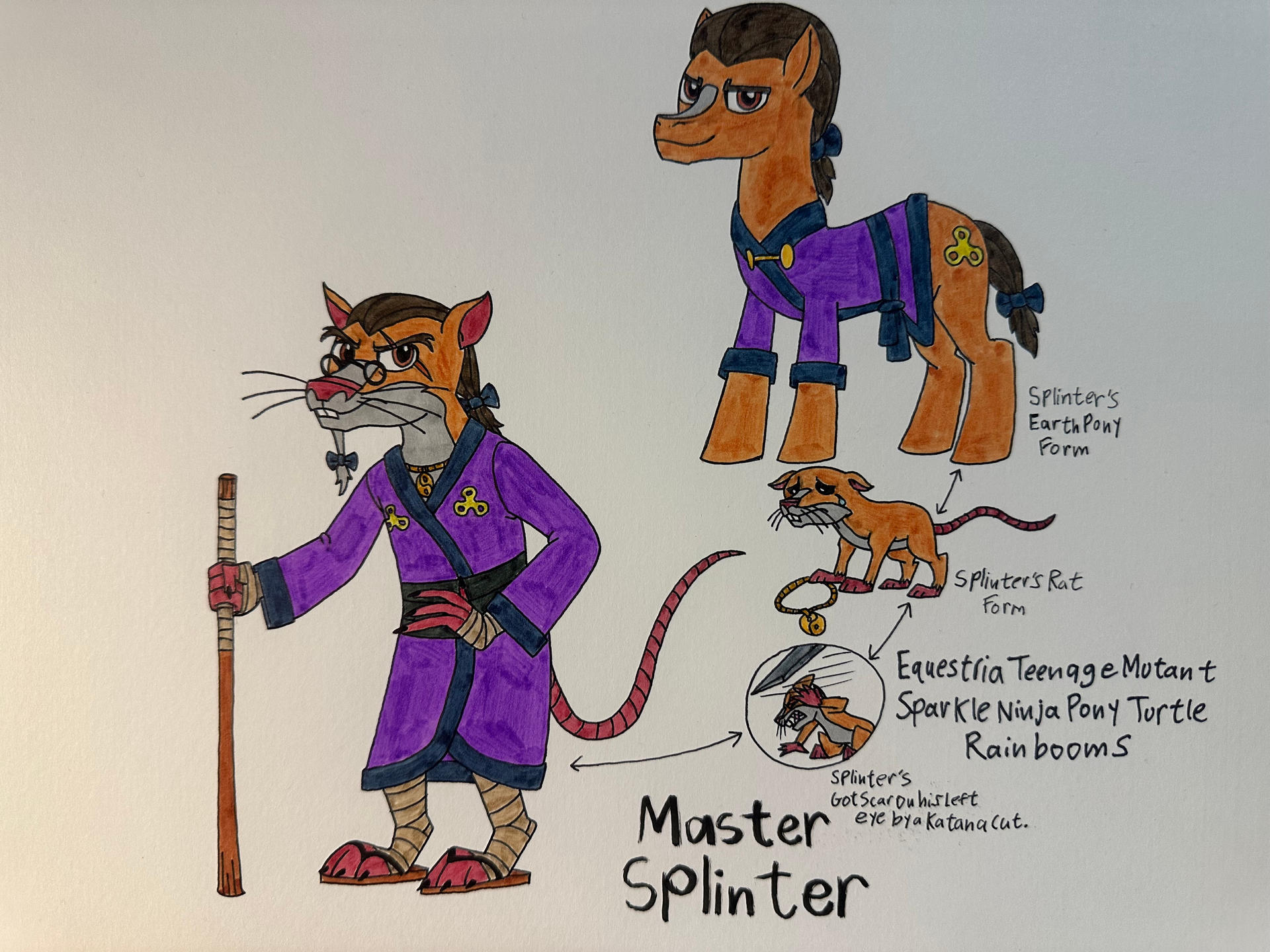 Master Splinter Human Rise ETMSNPTR: Master Splinter by dylanwayneburk on DeviantArt
