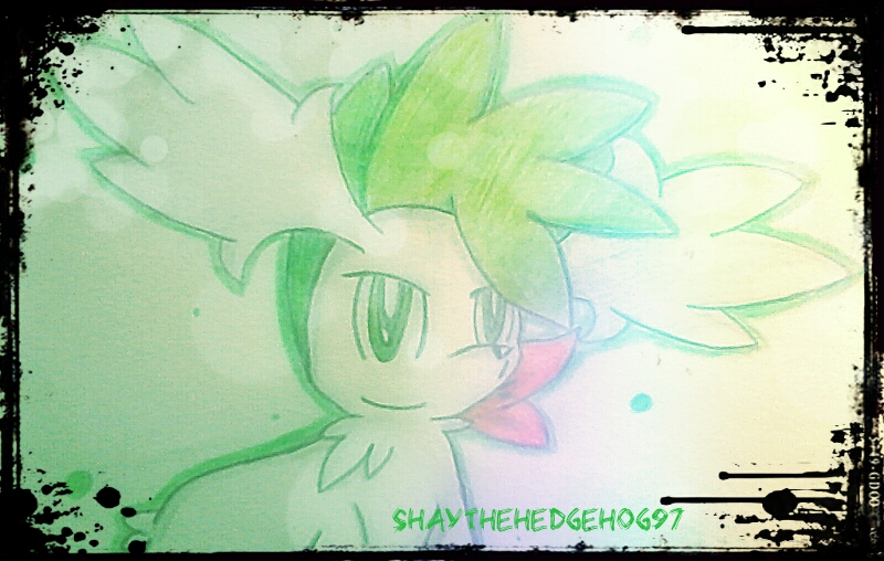 Shaymin Sky Form-Shay