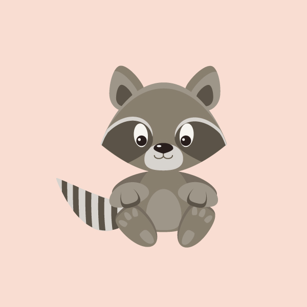 raccoon