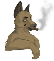 Cigar Smokin' Shepherd