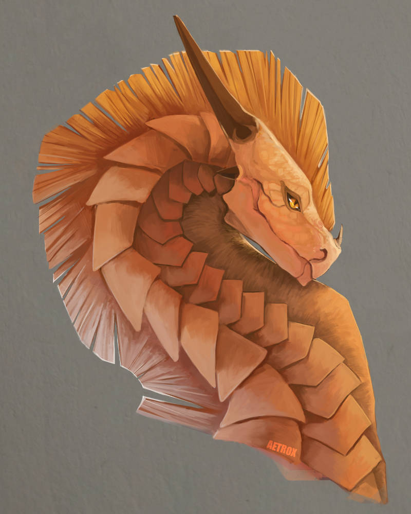 Sandwing Patterns Wings of Fire: Sandwing by Aeotriox on DeviantArt
