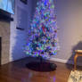 my tree