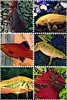 Fish Stamps