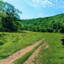 Derbyshire Landscape