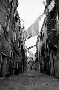 Venice Street