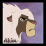 Akim Base Colors