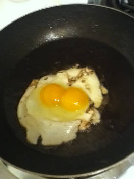 DOUBLE YOLKS