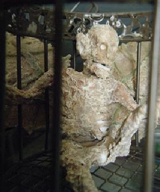 Close up of mummified fairy