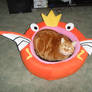 Cat in Magikarp bed