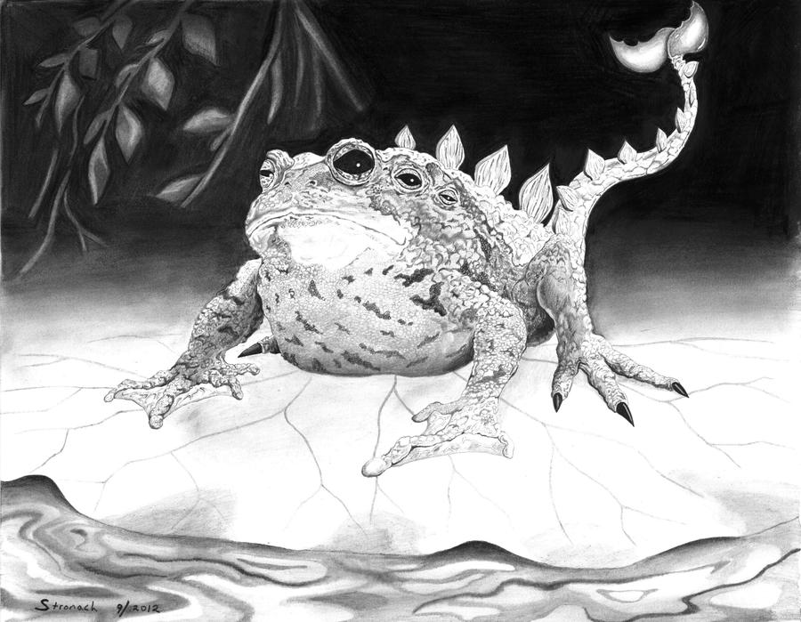 Weird Frog by TStron on DeviantArt