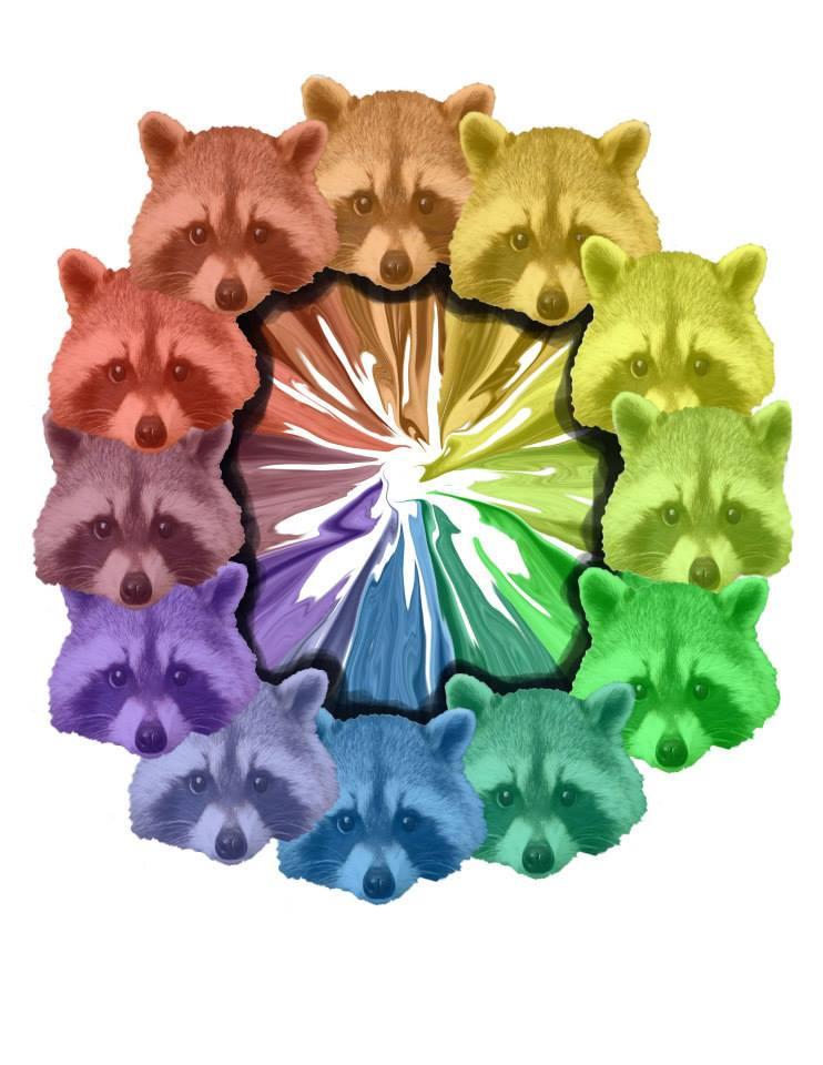 Racoon color wheel :3 by abbync10 on DeviantArt