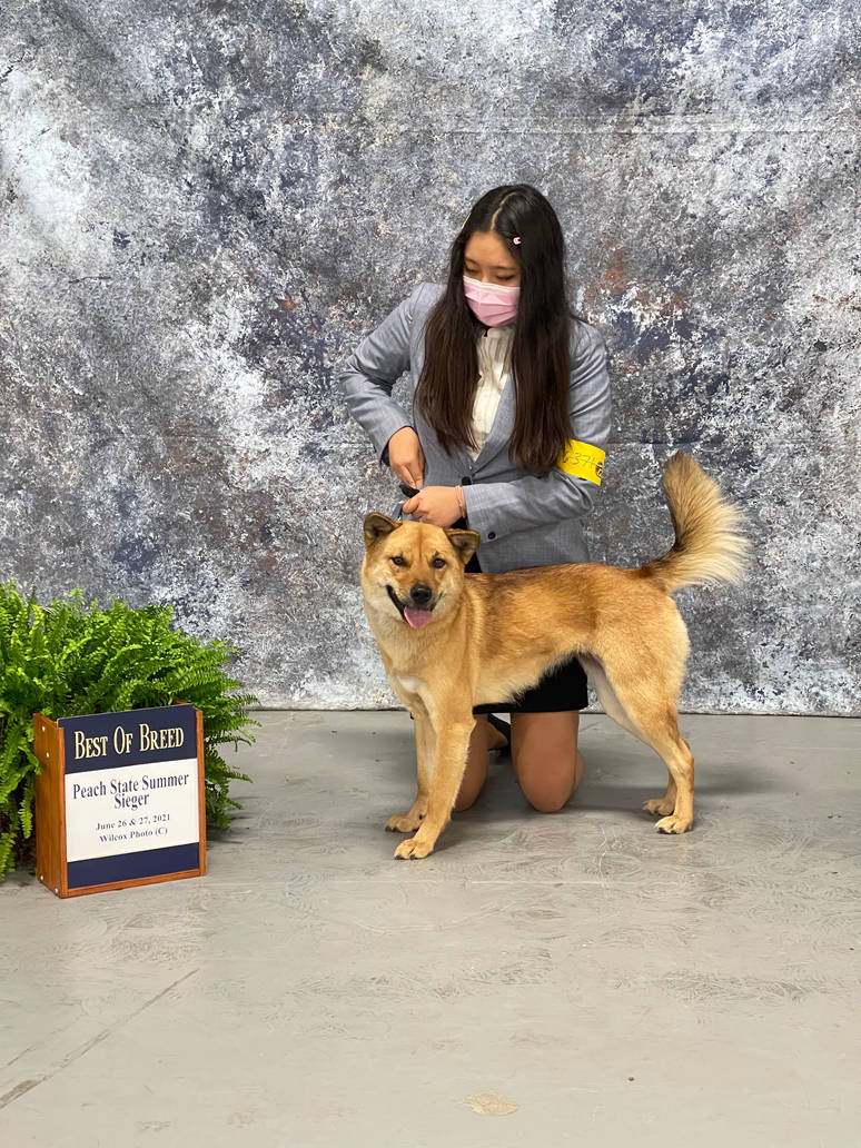 f09ed333_9be2_491c_8737_875213c6cdb4_by_