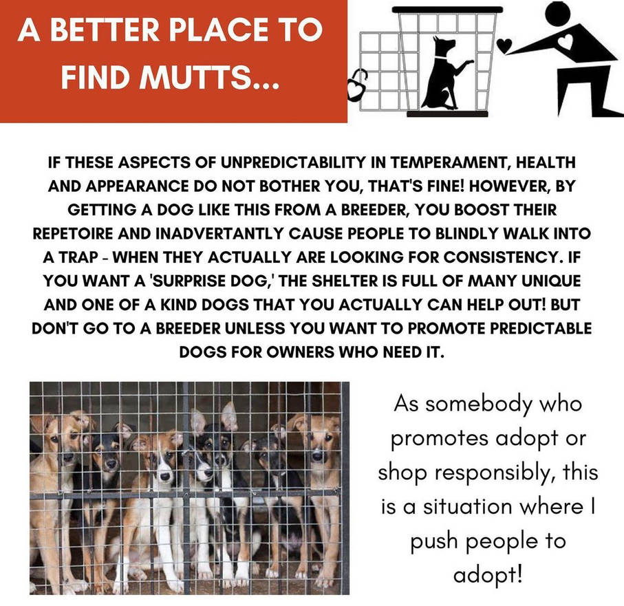 a5ade56a_3f0b_409c_8e50_a19ed766e074_by_