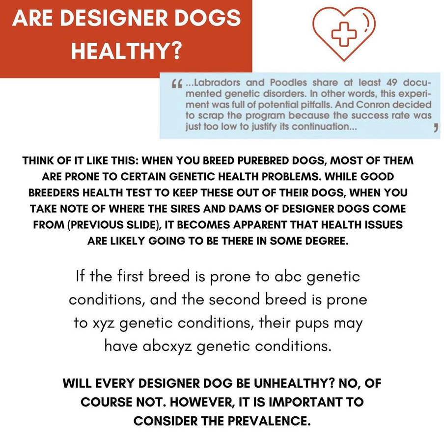 f7c61e16_3ce8_42f9_b331_e8d1c0101e4a_by_