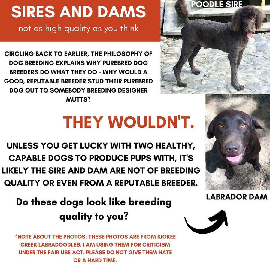 415d9538_fe9a_45cc_af14_54fd514c3f65_by_